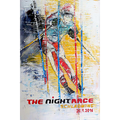 The Night Race Schladming Poster (2016)